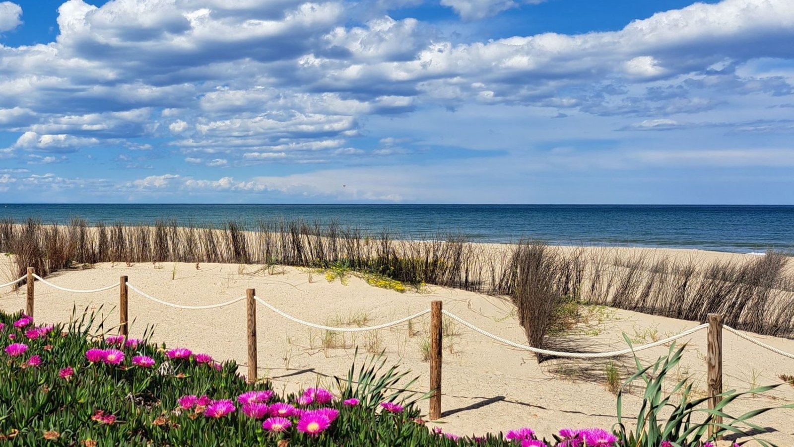 Deveses beach in Denia · Panea Scheffer property advisory