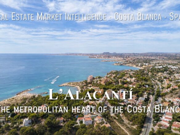 Aerial view of the Mediterranean coastline and pine trees in L'Alacantí comarca, Campo de Alicante, Costa Blanca