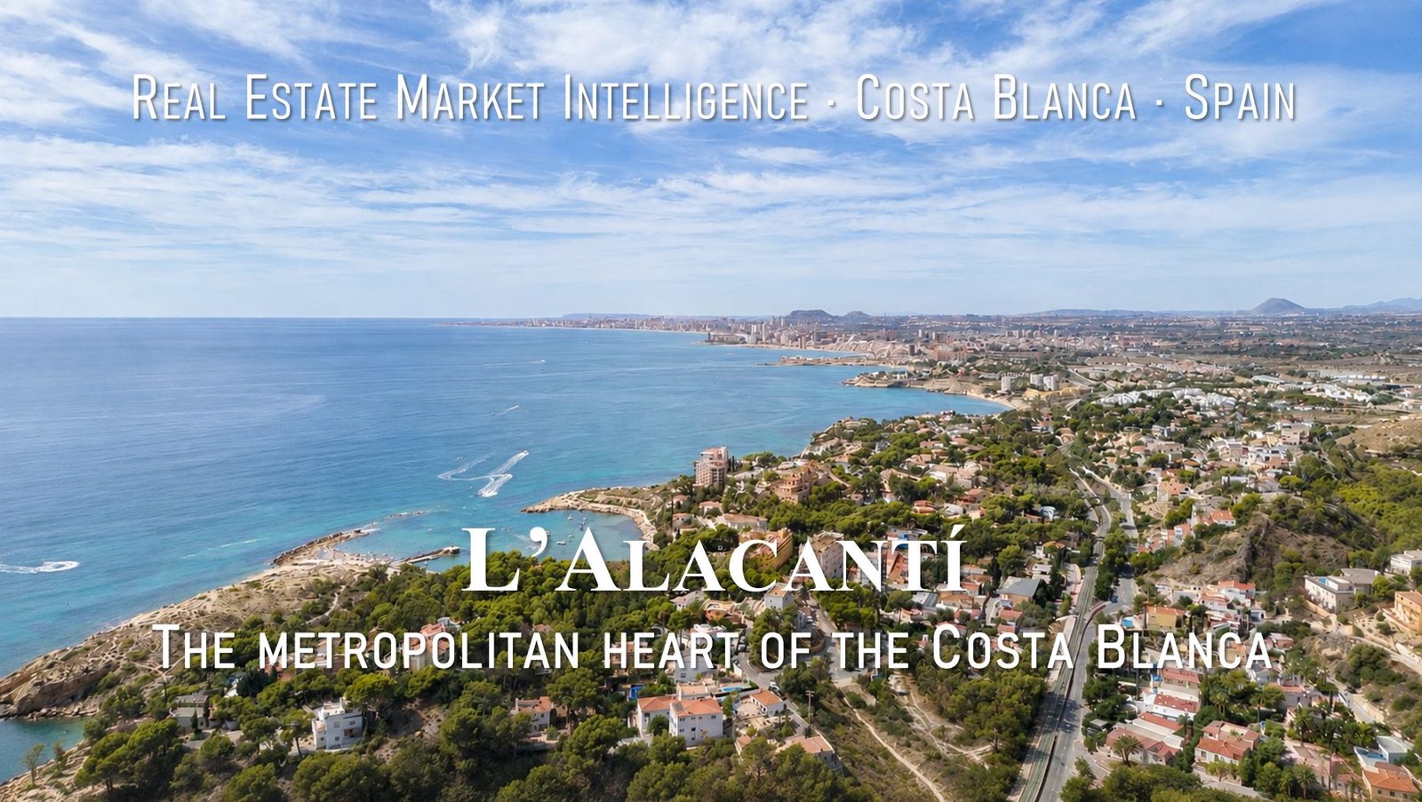 Aerial view of the Mediterranean coastline and pine trees in L'Alacantí comarca, Campo de Alicante, Costa Blanca